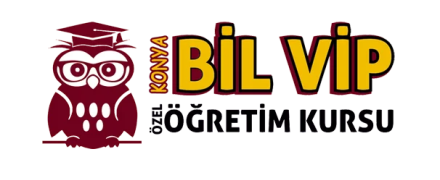 Bil-Vip